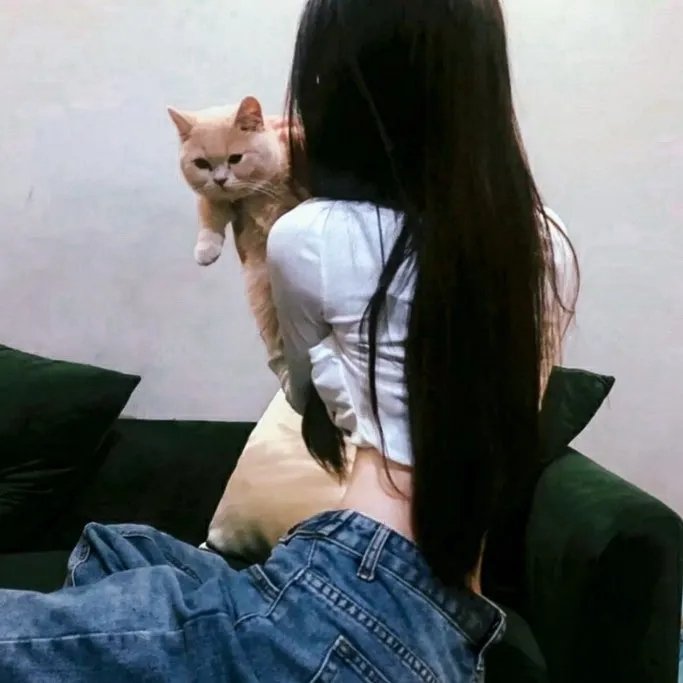 矮仔多计